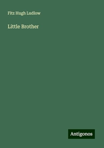 Little Brother von Antigonos Verlag