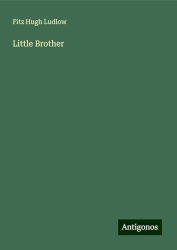 Little Brother von Antigonos Verlag