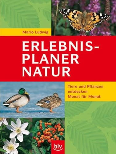 Der Erlebnis-Planer Natur: Tiere und Pflanzen entdecken Monat für Monat