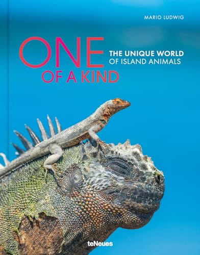 One of a Kind: The Unique World of Island Animals