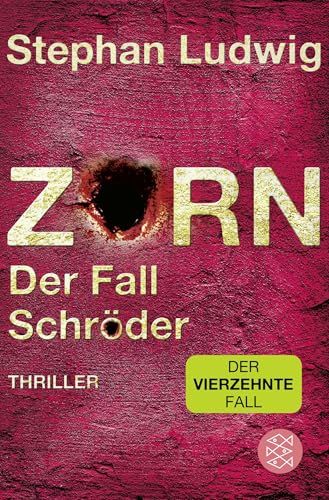 Zorn – Der Fall Schröder: Thriller