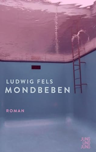 Mondbeben: Roman