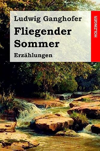 Fliegender Sommer: Erzählungen von Createspace Independent Publishing Platform
