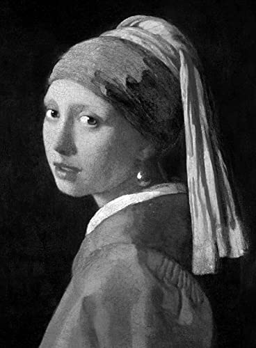 Vermeer: Collector's edition (Phaidon Classics)