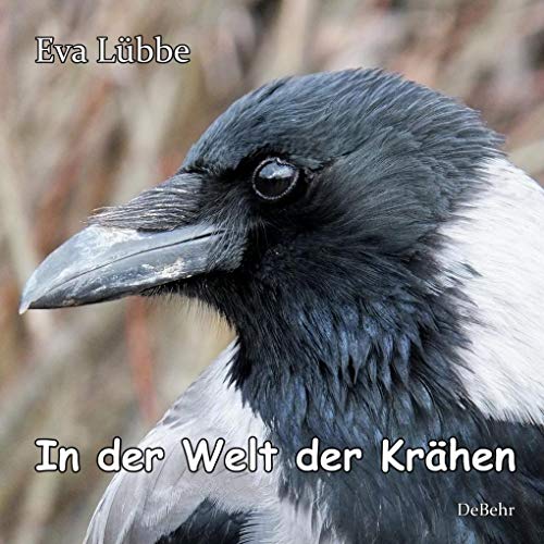 In der Welt der Krähen: Bilderbuch für Kinder ab 3