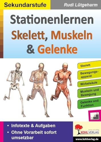 Übungsheft 'Stationenlernen: Skelette, Muskeln und Gelenke' – 64 Seiten praxisorientierte Biologie-Aufgaben für die Klassen 5-10: Übersichtliche Aufgabenkarten für die Sekundarstufe Übungsheft 'Stationenlernen: Skelette, Muskeln und Gelenke' – 64 Seiten praxisorientierte Biologie-Aufgaben für die Klassen 5-10: Übersichtliche Aufgabenkarten für die Sekundarstufe