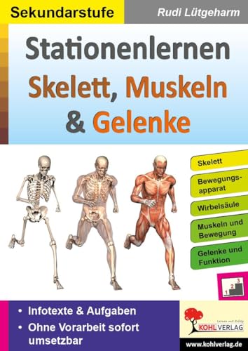 Stationenlernen Skelette, Muskeln & Gelenke: Übersichtliche Aufgabenkarten für die Sekundarstufe