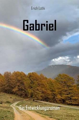 Gabriel: Ein Entwicklungsroman von Rediroma-Verlag