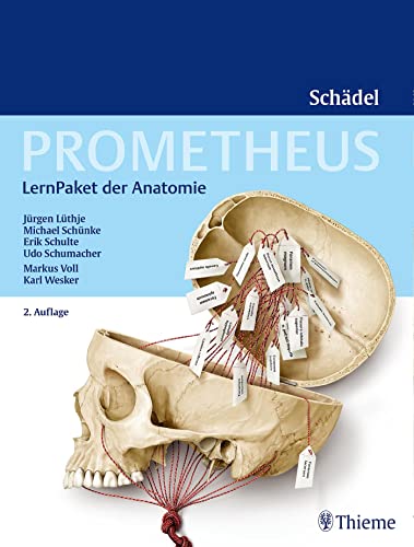 PROMETHEUS LernPaket Anatomie Schädel von Thieme