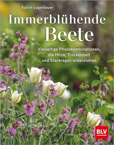 Immerblühende Beete: Vielseitige und ökologisch wertvolle Pflanzkombinationen für jeden Standort