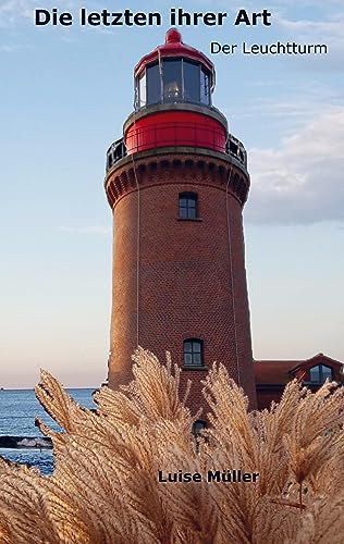 Die letzten ihrer Art: Der Leuchtturm von Bookmundo Direct