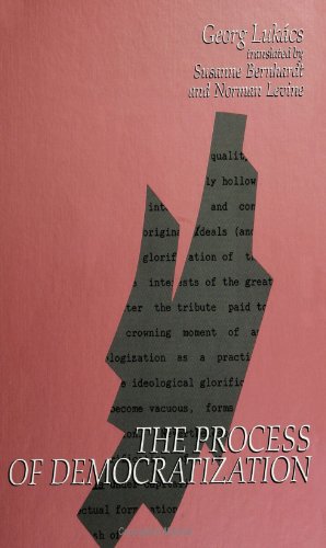 The Process of Democratization (SUNY Series in Contemporary Continental Philosophy)