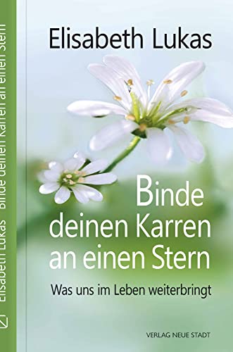 Binde deinen Karren an einen Stern: Was uns im Leben weiterbringt (LebensWert)