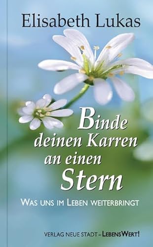 Binde deinen Karren an einen Stern: Was uns im Leben weiterbringt (LebensWert)