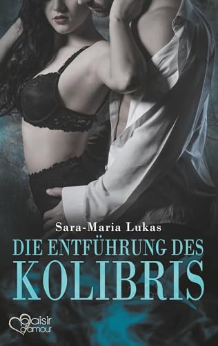 Hard & Heart 1: Die Entführung des Kolibris
