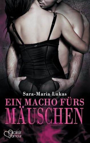 Hard & Heart 4: Ein Macho fürs Mäuschen