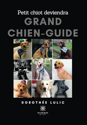 Petit chiot deviendra grand chien-guide
