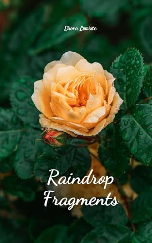 Raindrop Fragments von Swan Charm Publishing