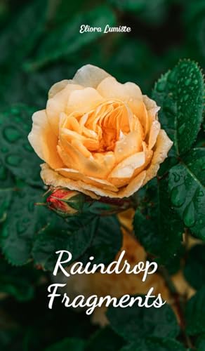 Raindrop Fragments von Swan Charm Publishing