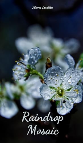 Raindrop Mosaic von Swan Charm Publishing