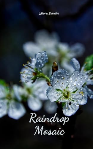 Raindrop Mosaic von Swan Charm Publishing