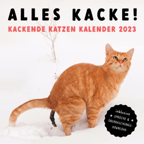 ALLES KATZE! Kackende Katzen Kalender 2023: Das lustige Geschenk für Männer, Frauen, Freunde und Katzenliebhaber zum Geburtstag oder Weihnachten - inkl. Sprüche & Überraschungs-Download