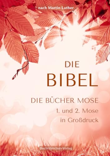 Die Bücher Mose - 1. und 2. Mose in Großdruck: Die Bibel nach Martin Luther