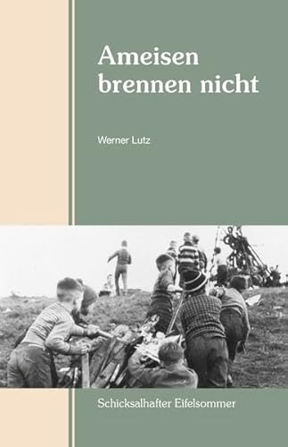 Ameisen brennen nicht: Schicksalhafter Eifelsommer