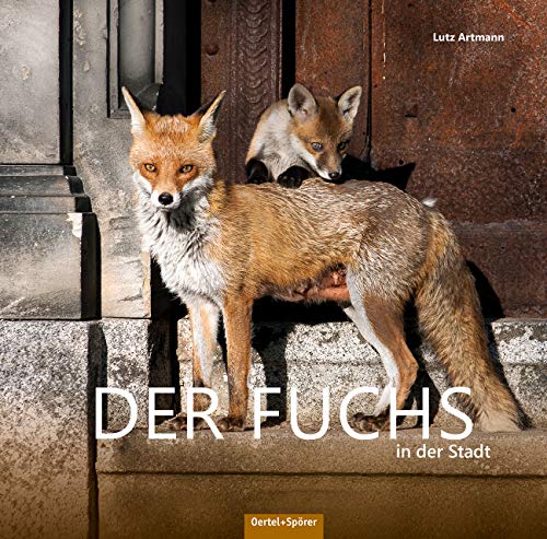 Der Fuchs in der Stadt von Oertel & Spörer