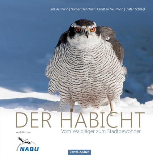Der Habicht - Vom Waldjäger zum Stadtbewohner von Oertel Und Spoerer GmbH