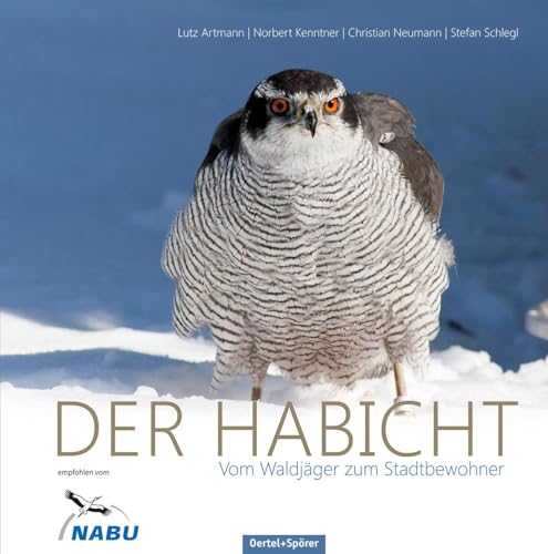 Der Habicht - Vom Waldjäger zum Stadtbewohner von OERTEL & SPÖRER
