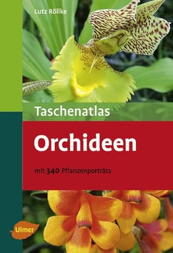 Taschenatlas Orchideen - Mit 340 Pflanzenporträts (Taschenatlanten)