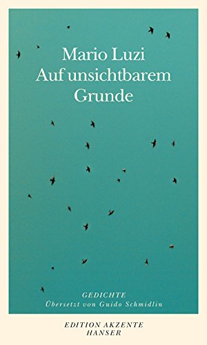 Auf unsichtbarem Grunde: Gedichte