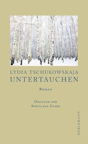 Untertauchen: Roman