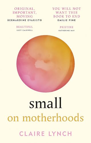 Small: On motherhoods von Brazen