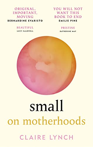 Small: On motherhoods von Brazen