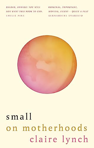 Small: On motherhoods von Brazen