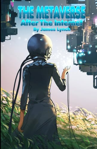 THE METAVERSE: After The Internet von Independently published