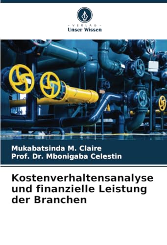 Kostenverhaltensanalyse und finanzielle Leistung der Branchen von Verlag Unser Wissen
