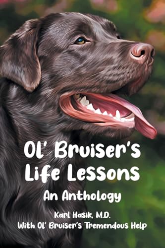 Ol' Bruiser's Life Lessons: An Anthology von Page Publishing Inc