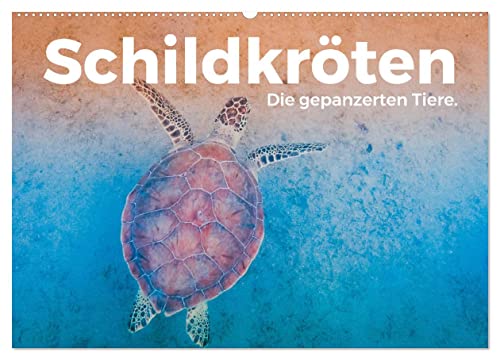 Schildkröten - Die gepanzerten Tiere. (Wandkalender 2025 DIN A2 quer), CALVENDO Monatskalender