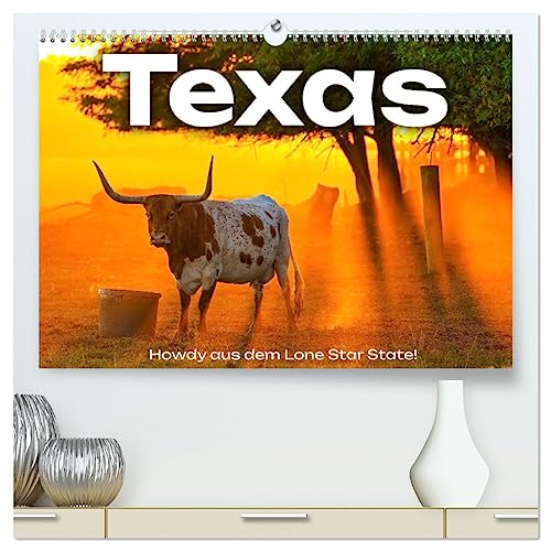Texas - Howdy aus dem Lone Star State! (hochwertiger Premium Wandkalender 2025 DIN A2 quer), Kunstdruck in Hochglanz