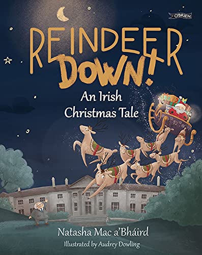 Reindeer Down!: An Irish Christmas Tale von O'Brien Press Ltd