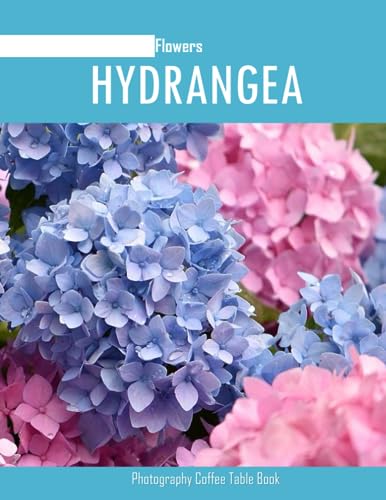 HYDRANGEA FLOWERS Photography Coffee Table Book: Hydrangea Flowers Photography Coffee Table Book for All: An Amazing Group Of Pictures For Relaxing & ... Images (8.5"*11") Paperback May 27,2023 . von Independently published