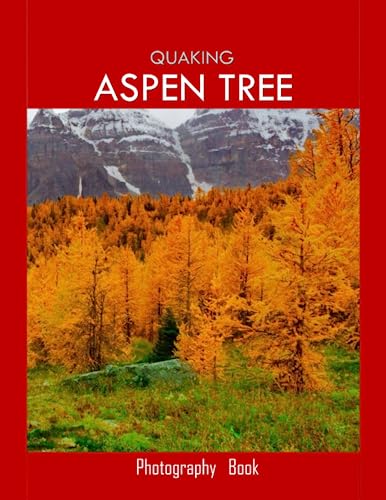 QUAKING ASPEN TREE: Quaking Aspen Tree Photography Coffee Table Book : An Amazing Group Of Pictures For Relaxing & Meditation- Perfect Gift for all. ... Images (8.5"*11") Paperback. July 10,2023 . von Independently published