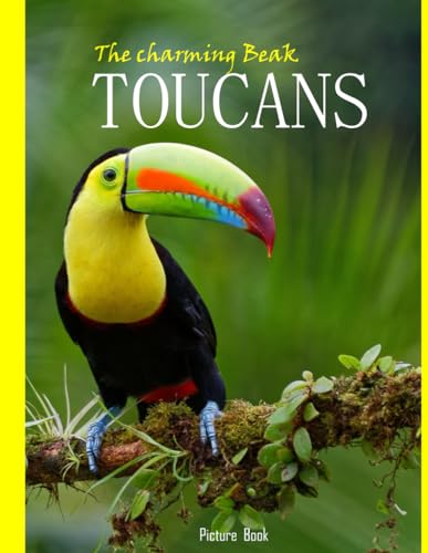 Toucans: Exploring the Vibrant World of Nature's Colorful Companions-50 Sweet Images of Toucans- Perfect Home Gift or a Fun Farm Paperback Coffee Table Book. Toucans: Exploring the Vibrant World of Nature's Colorful Companions-50 Sweet Images of Toucans- Perfect Home Gift or a Fun Farm Paperback Coffee Table Book. von Independently published