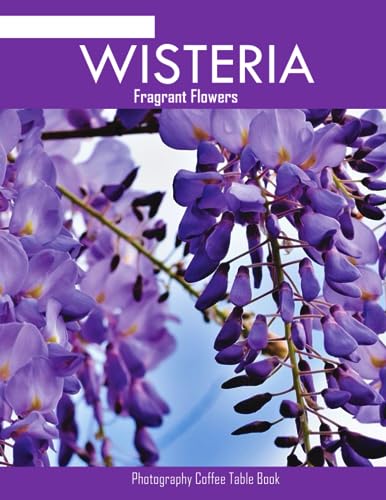 WISTERIA: Wisteria flowers Photography Coffee Table Book : An Amazing Group Of Pictures For Relaxing & Meditation- Perfect Gift for all.August 7,2023 . WISTERIA: Wisteria flowers Photography Coffee Table Book : An Amazing Group Of Pictures For Relaxing & Meditation- Perfect Gift for all.August 7,2023 . von Independently published