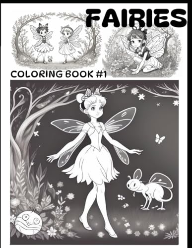 COLORING FAIRIES BOOK: LIVRE DE COLORIAGE SUR LES FEES von Independently published