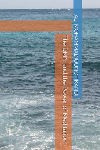 The DMN and the Power of Meditation
