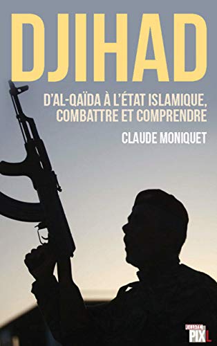 DJIHAD : D´AL-QAIDA A L´ETAT ISLAMIQUE, COMBATTRE ET COMPRENDRE: D'Al-Qaïda à l'Etat islamique : combattre et comprendre le terrorisme
